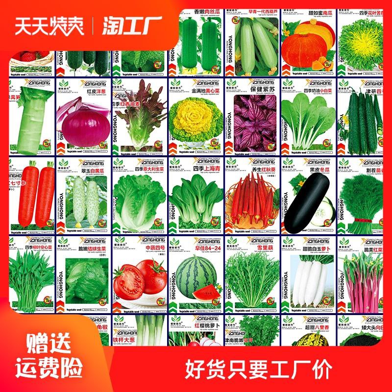 #蔬菜种子 #水果种子 #生活日用 蔬菜种子四季播种阳台农家盆栽香菜菠菜生菜韭菜小葱草莓籽孑大全【包邮】【市场价】 2.50 元【券后价】 1.5 元【下单链接】